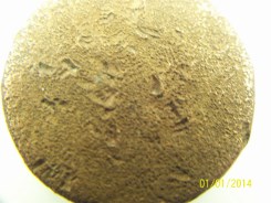 Need-Help-To-Identify-This-One-Please.