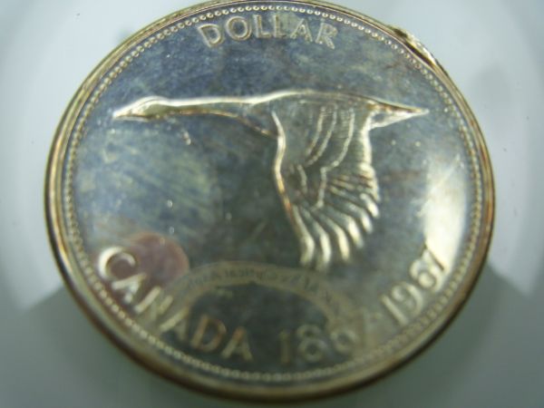 1967-CDN-Dollar-Coin-For-Grade-Help-Please