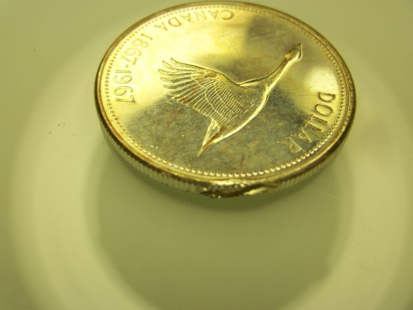 1967-CDN-Dollar-Coin-For-Grade-Help-Please