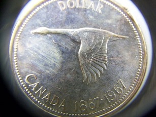 1967-CDN-Dollar-Coin-For-Grade-Help-Please