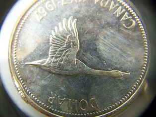 1967-CDN-Dollar-Coin-For-Grade-Help-Please
