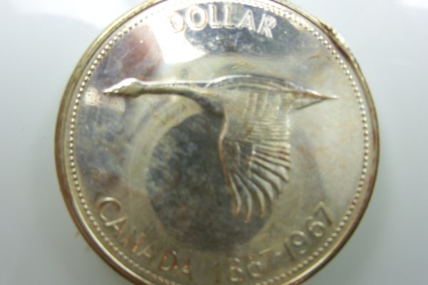1967-CDN-Dollar-Coin-For-Grade-Help-Please
