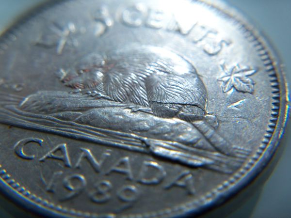 Canadian-Coinage-Planchet-Error-Challenge