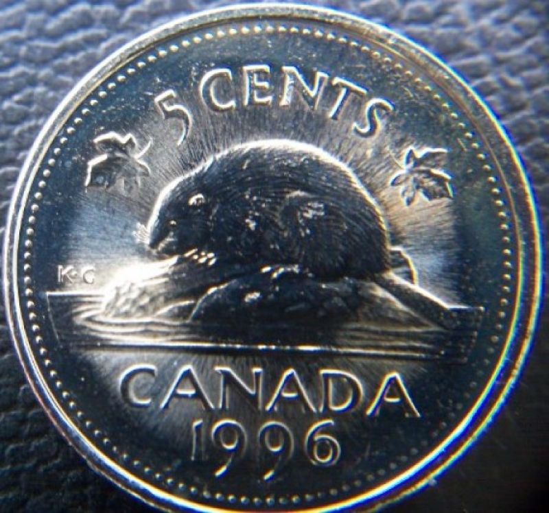 1996-Nickel-Varieties,-Post-Your-Best-Raw/Slabbed,-Close,-Far-Or-Attached-6