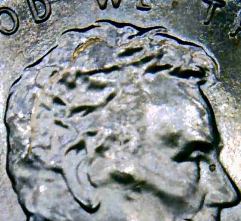Uncirculated-2019-P-Shield-Penny-Die-Crack-Error?