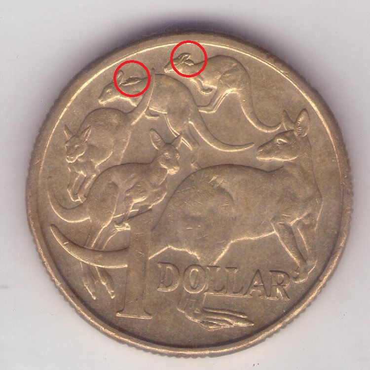 The-Big-Noodle:-Australian-1-Dollar-Coins