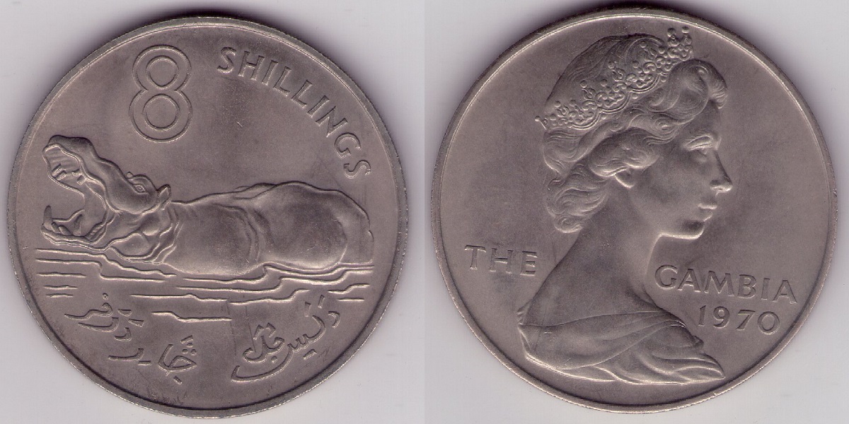 Bring-Out-Your-KM#7-Or-Y#7-Coins-For-Show-&-Tell
