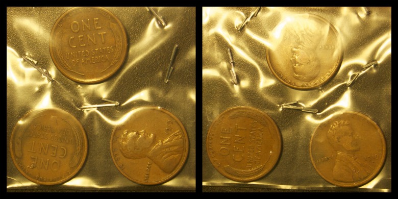 Coin-Auction-Winnings!