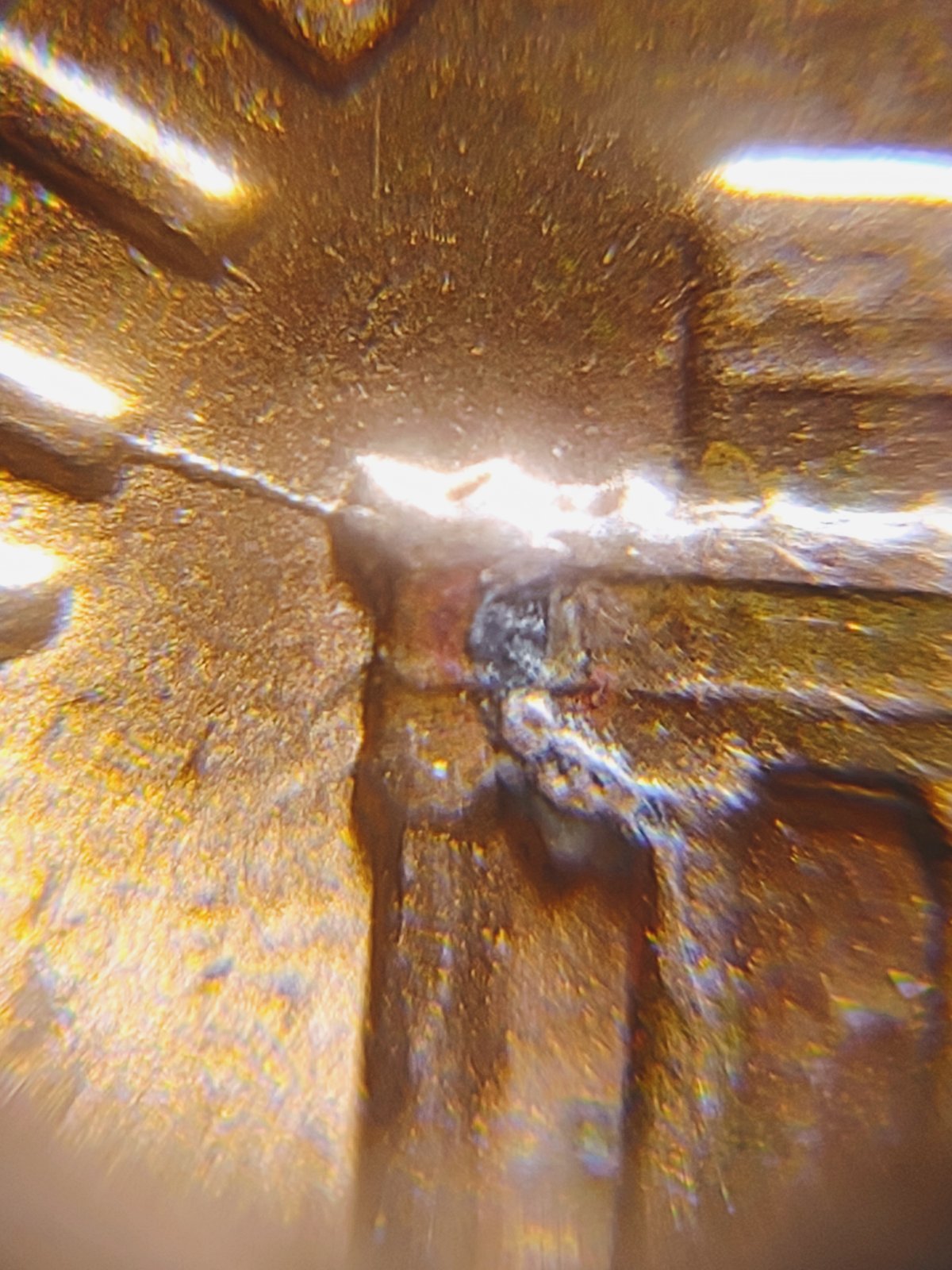 Is-This-An-Error-Or-Just-Damage-1986-Lincoln-Cent