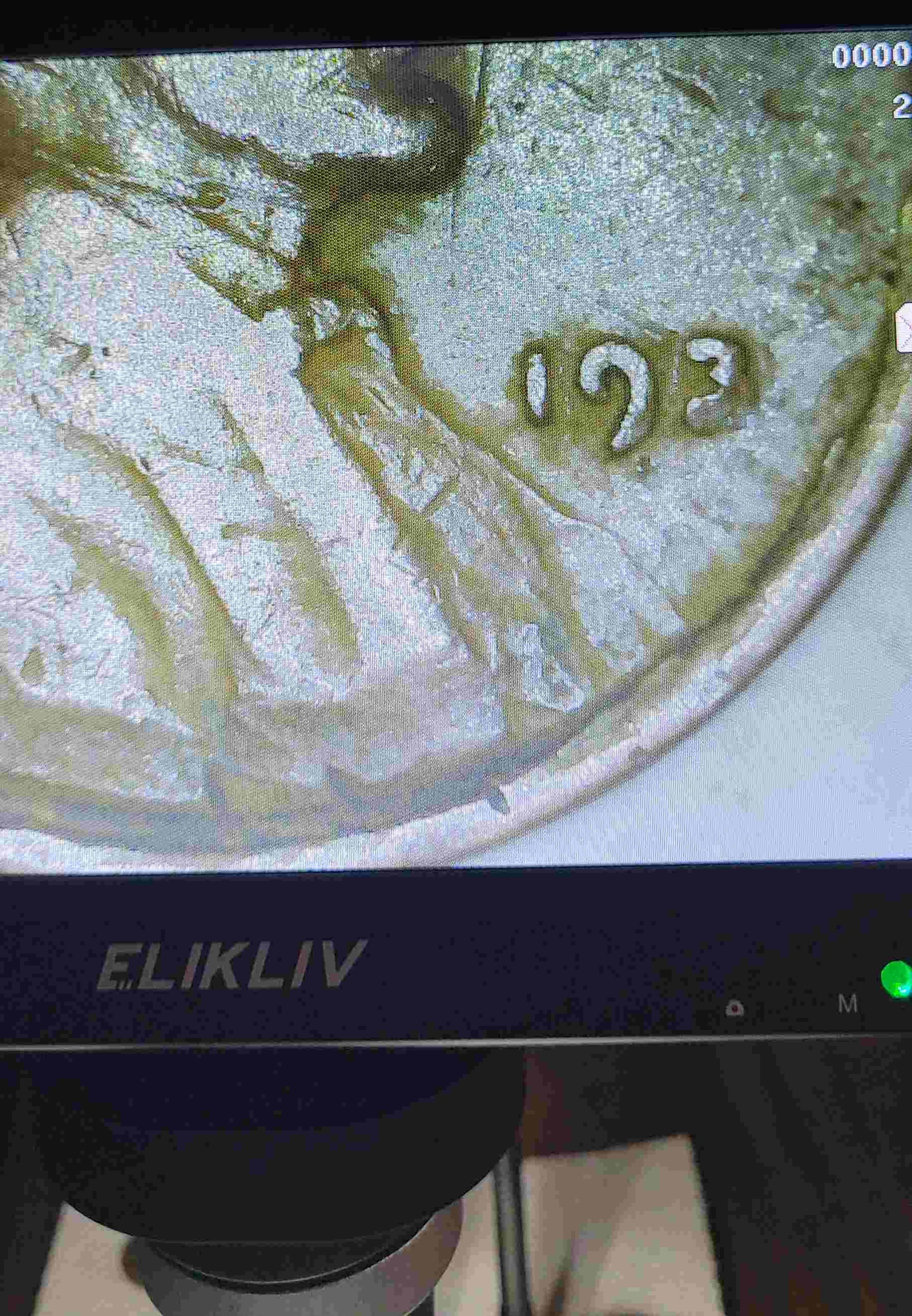 Help-Identifying-2-Wheat-Pennies-With-Missing-Dates.