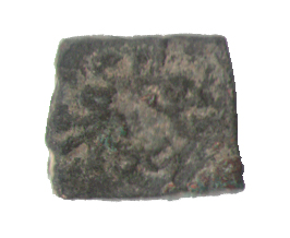 Coin.-Token.-Cow.-Cat...-Giraffe,-What-Is-This?