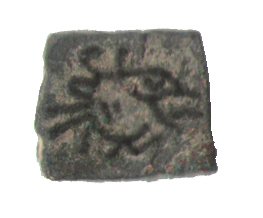 Coin.-Token.-Cow.-Cat...-Giraffe,-What-Is-This?