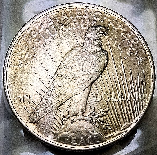 1924-Peace-Dollar-Learning-To-Grade