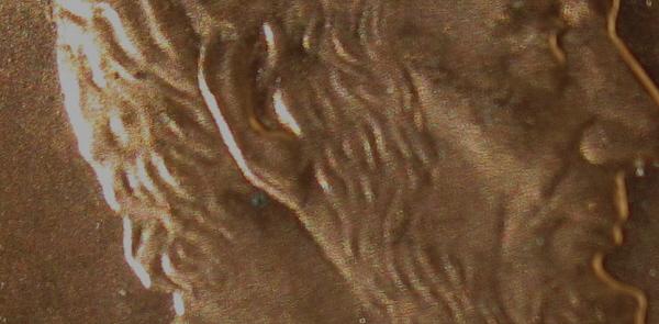 Potential-Double-Ear?