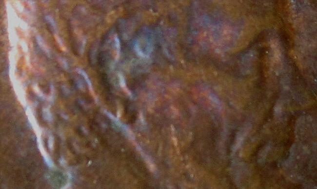 1984-D-Chip-On-Earlobe-?