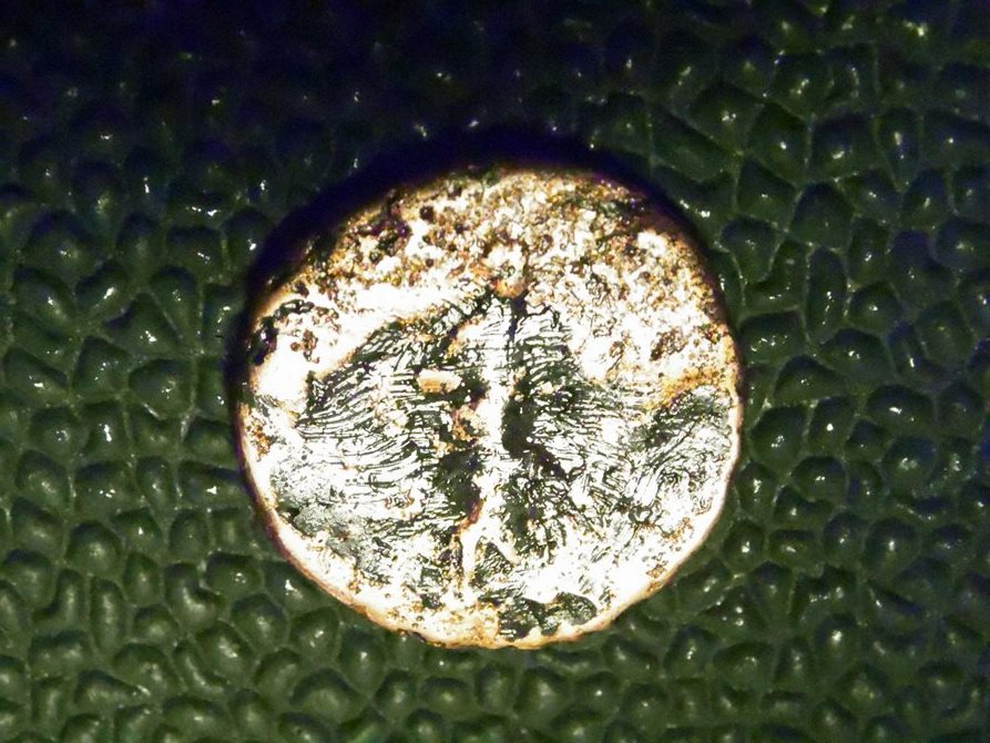 Can-You-Help-Me-Identify-This-Big-Shiny-Coin?