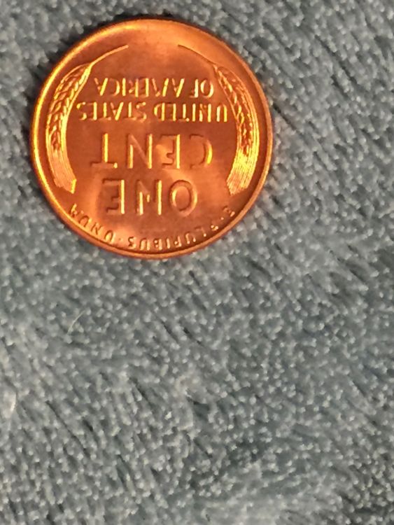 1955-S-Grade-Error?