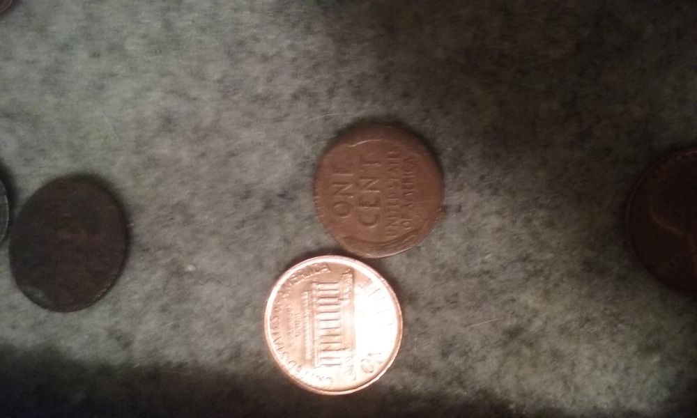 Wheat-Mint-Error?