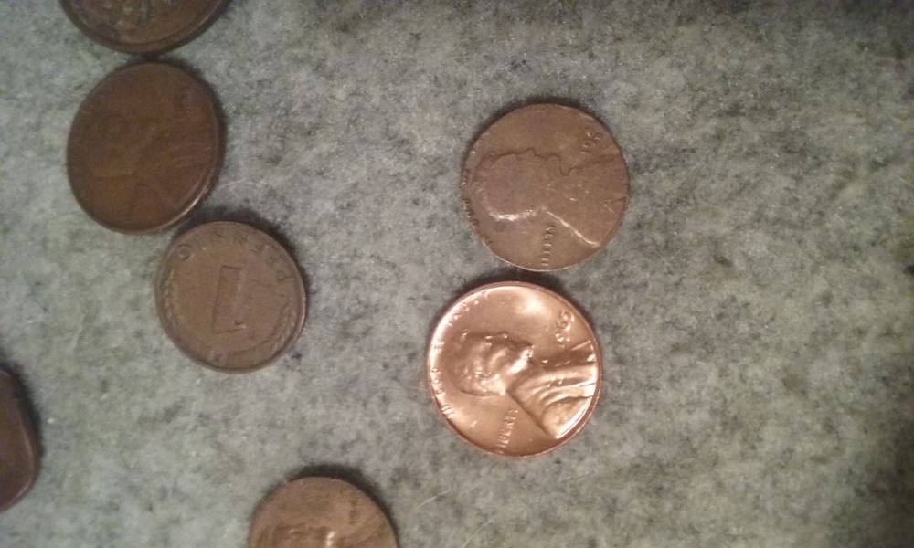 Wheat-Mint-Error?