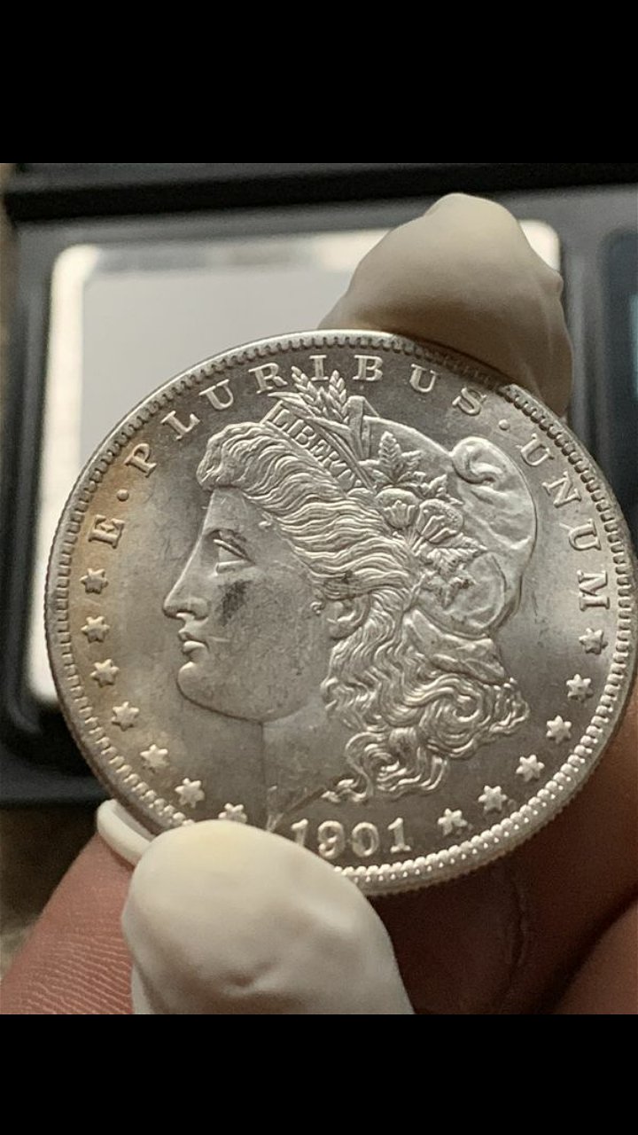 1901-S-Morgan-Dollar-For-Grading-Please