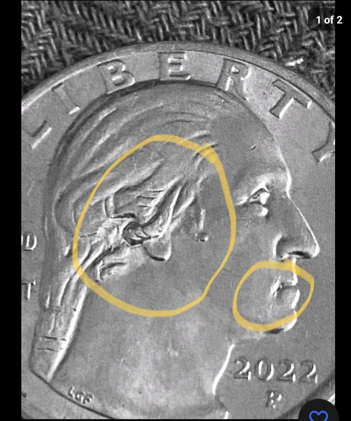 Newbie-Needing-Help.-Flower-In-Hair-On-The-American-Women-Quarters