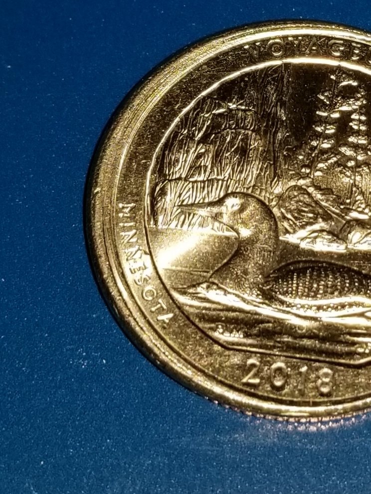 2018-Voyageurs-Quarter-Error?