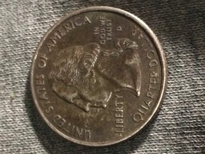 Camo-Quarter-And-A-Black-Quarter
