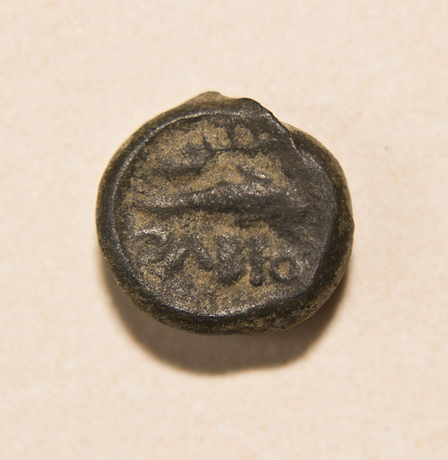 Coins-Of-Olbia:-Date?