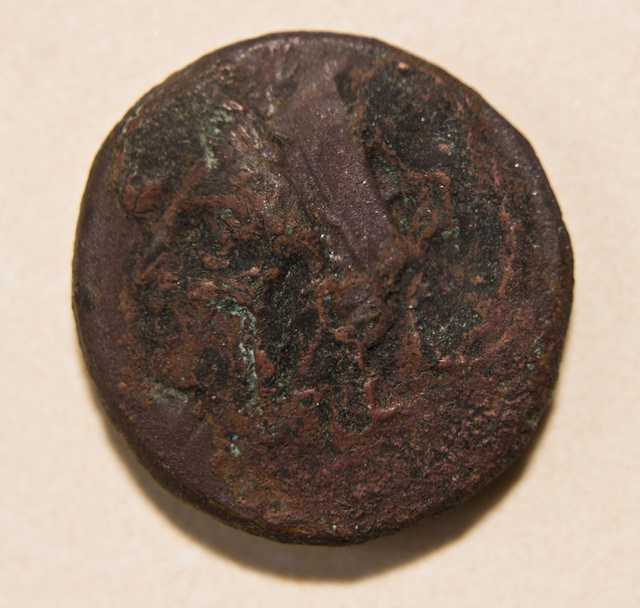 Coins-Of-Olbia:-Date?