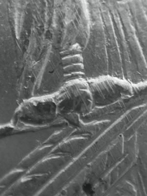 Planchet-Striations