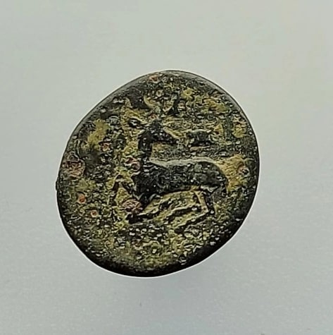 Identification-Of-The-Coin
