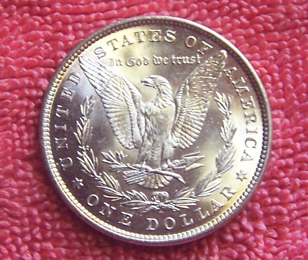 1881-P-Morgan-Dollar-For-Grading.