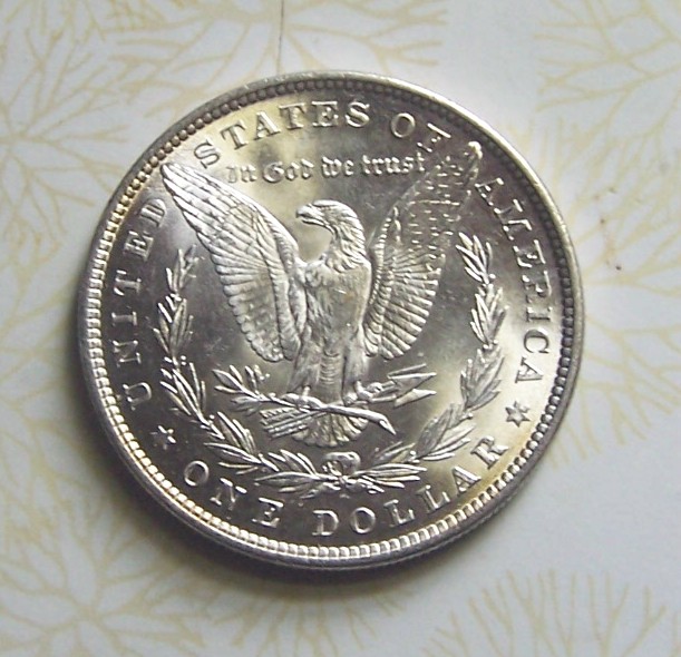 1881-P-Morgan-Dollar-For-Grading.