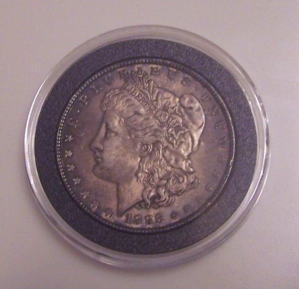 Dark-Toned-Morgan---To-Dip-Or-Keep-As-Is---Any-Advice-Please---Ty!