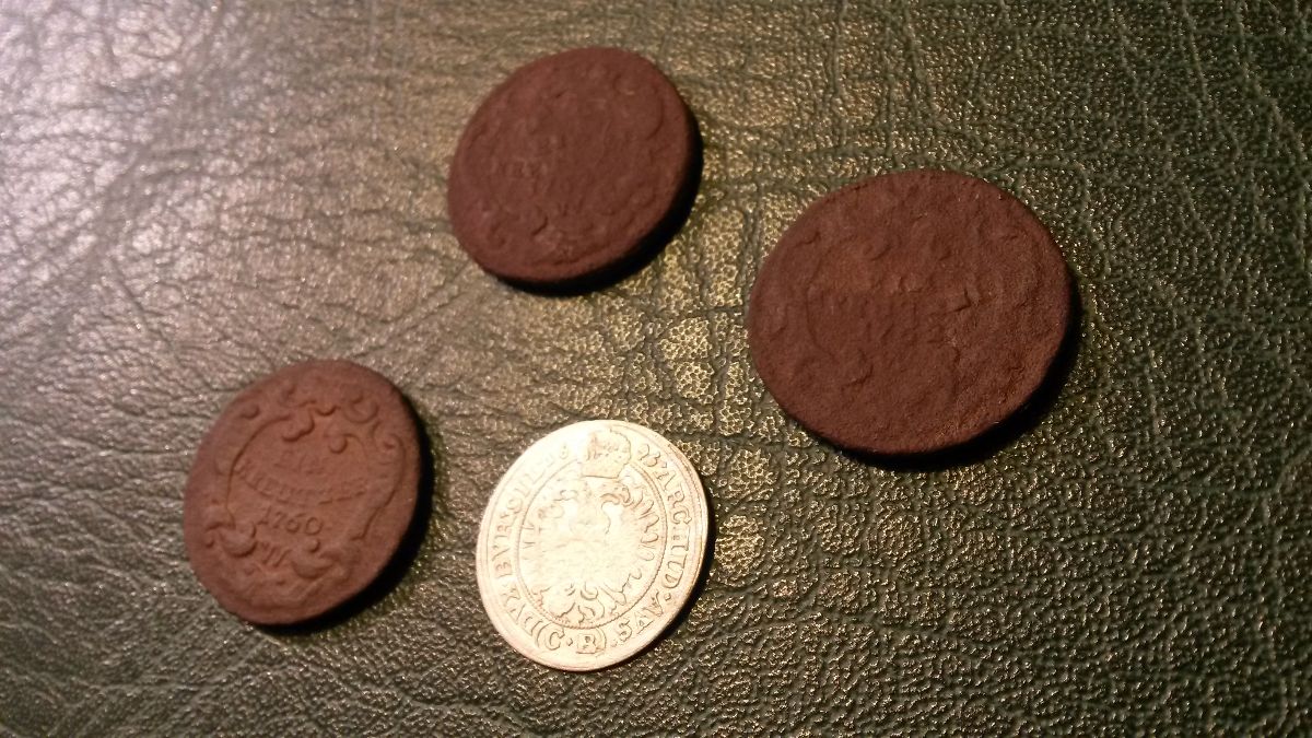 Old-Coins-Found-In-Forrest