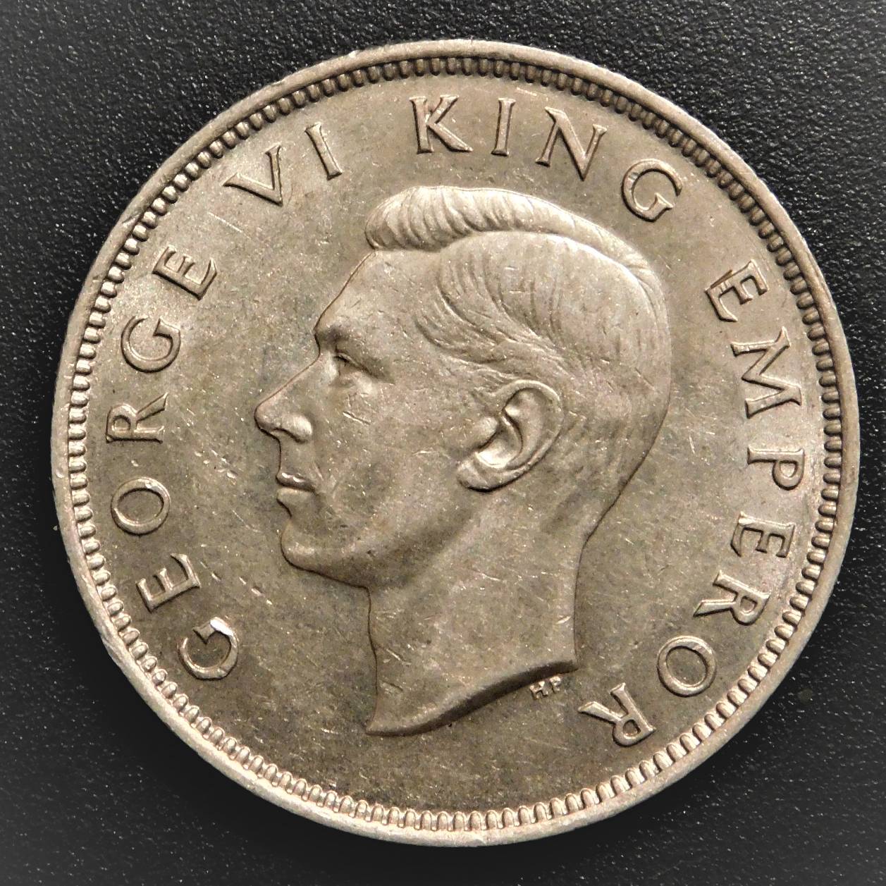 Show-Us-Yer-Gorgeous-Georges