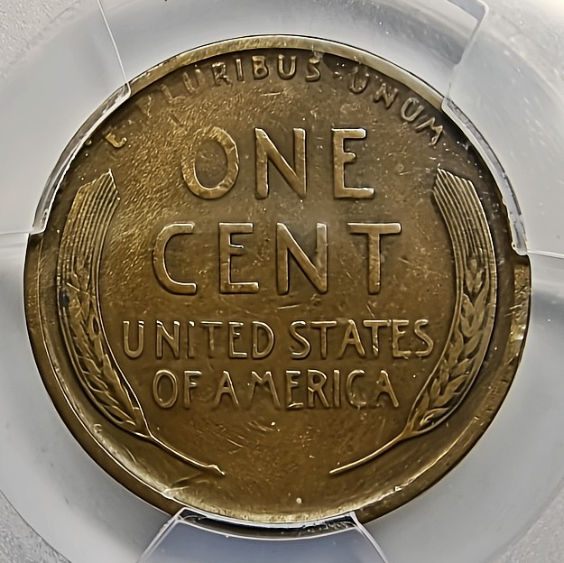 1909-S-Wheat-Cent-Coin-Grading!
