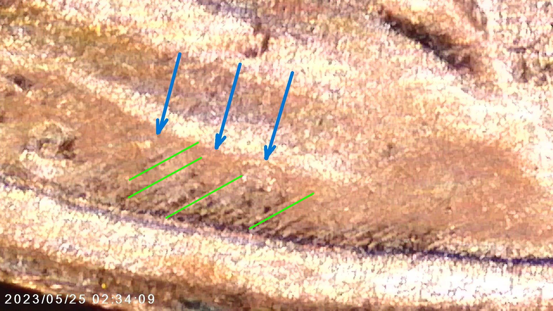 2023-Lincoln-Cent-Extra-VDB