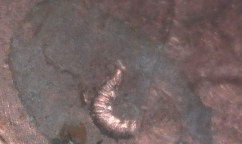 2018-P-Lincoln-Shield-Cent-With-Struck-Through-Errors?