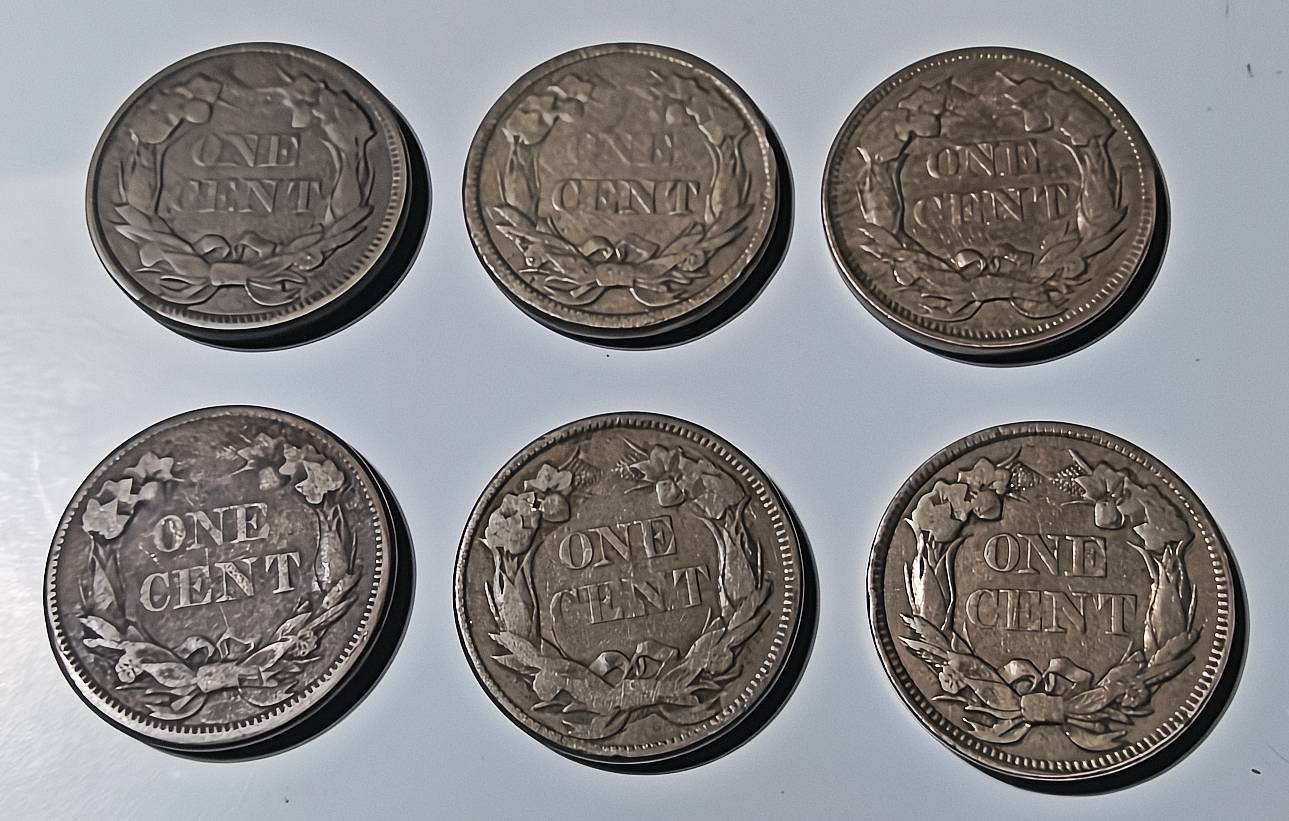 All-Members,-Post-Your-Most-Recent-US-Coin-Purchases!