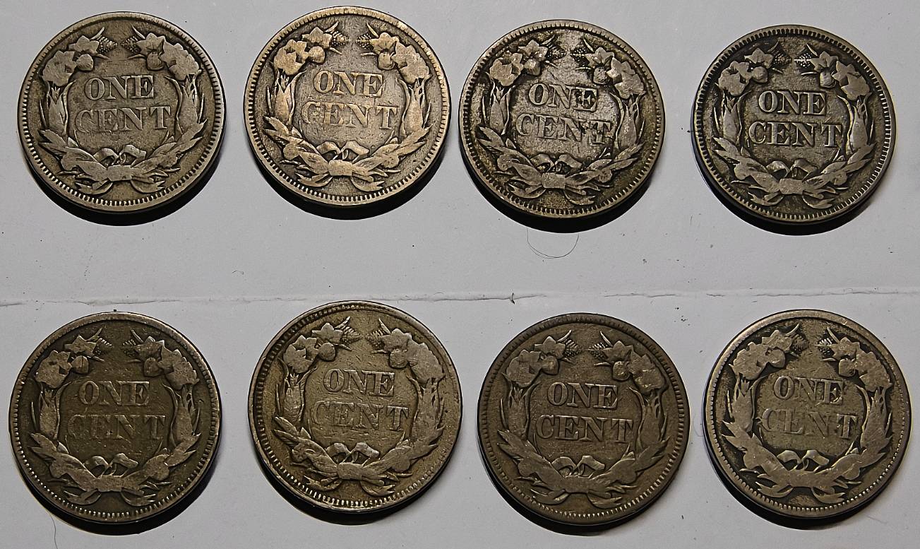 All-Members,-Post-Your-Most-Recent-US-Coin-Purchases!
