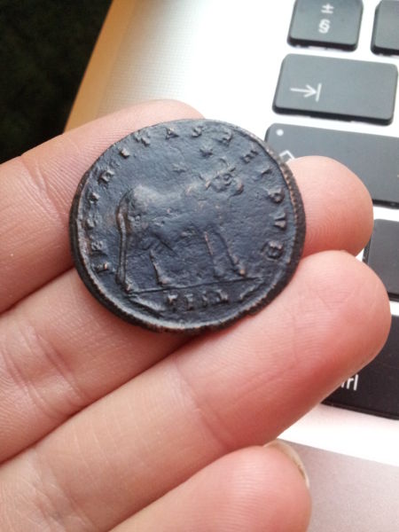 A-Newbie-Starts-His-Collection-3-Coins
