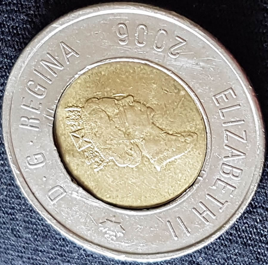 2006-Toonie---Is-It-An-Error?