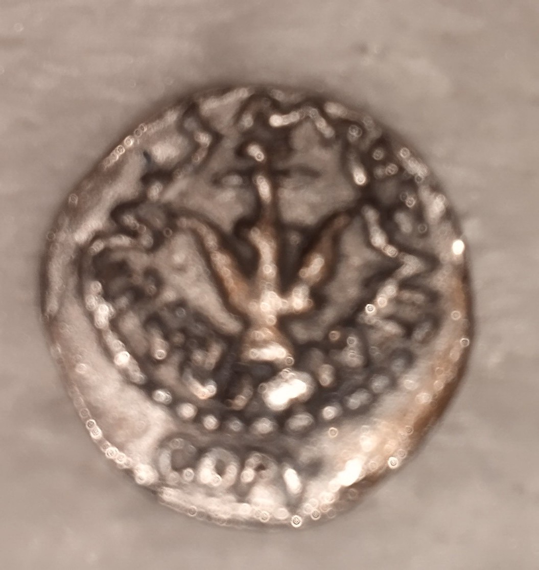 Need-Help-With-This-One-Id:-Tourist-Copy-Of-Prutah
