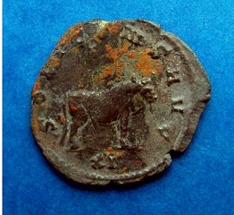 Gallienus'-Zoo