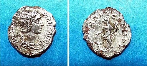 Severan-Fourree-Denarius?