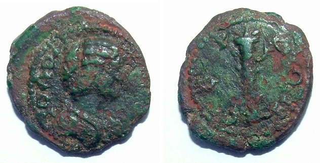 Ae-Julia-Domna?