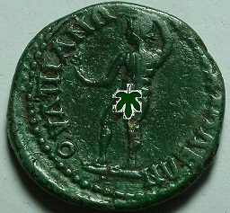 Strange-Coin-Surfaces-On-Np