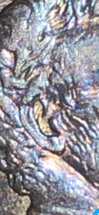 1997-Double-Ear-Penny?