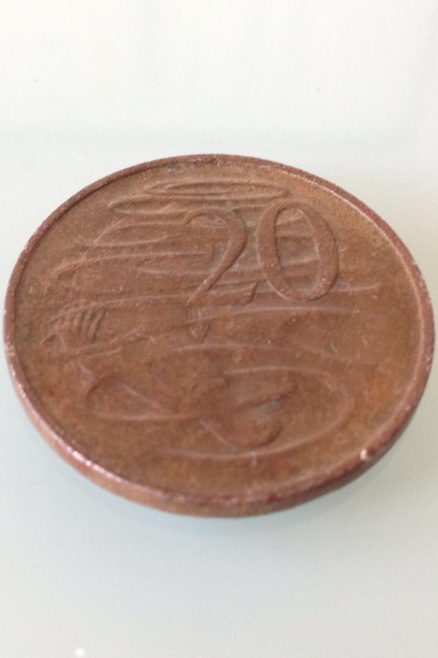Brown-20-Cent-Coin-Pictures-From-Previous-Post